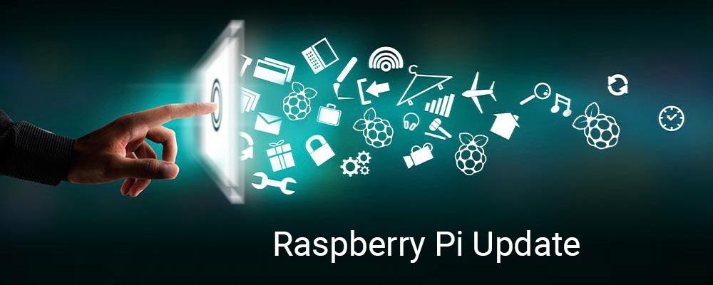 opendns updater raspberry pi